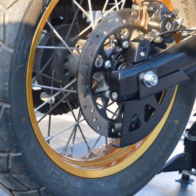 Rear Brake Disc Protector